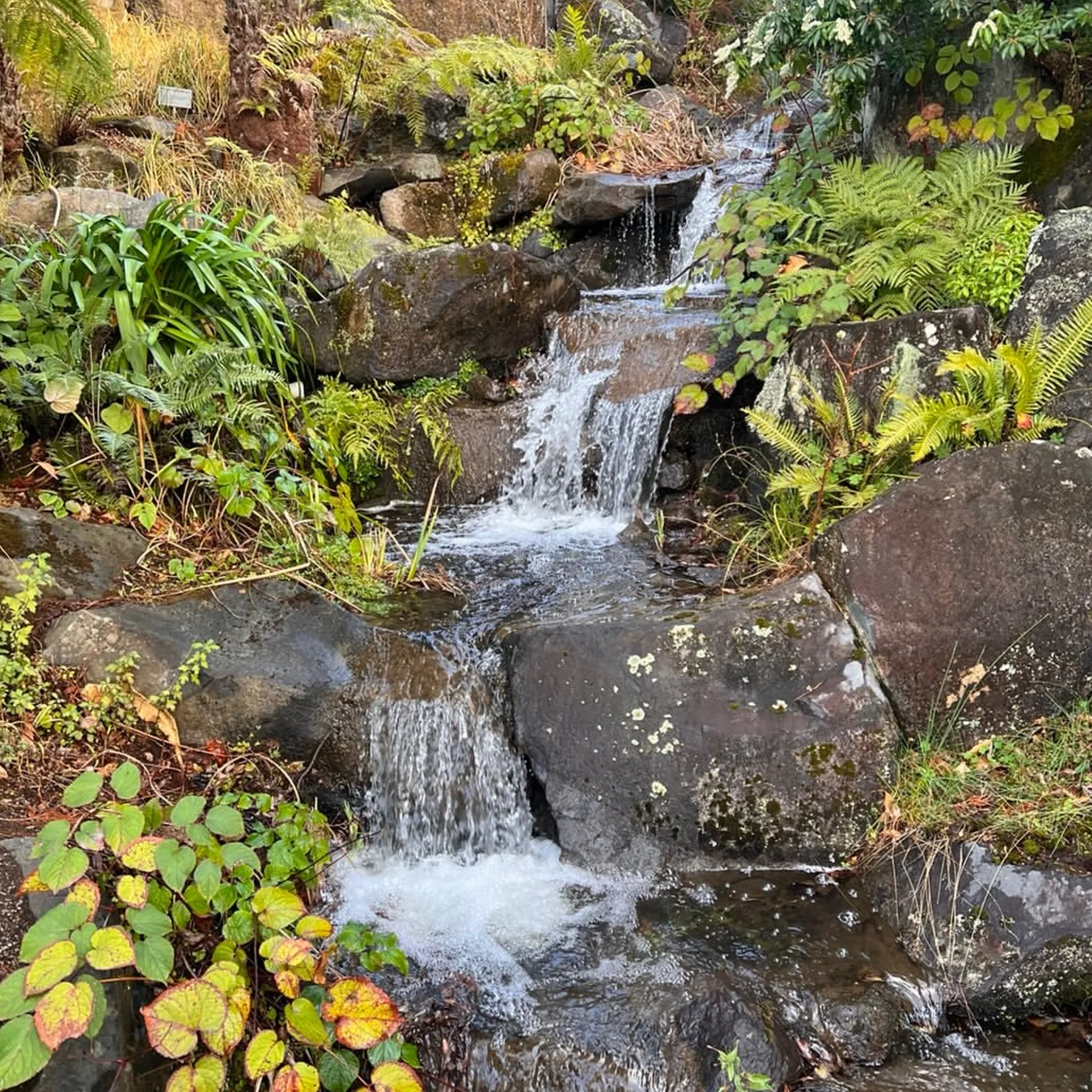 mount tomah botanical landscape